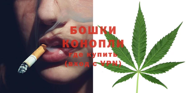 гидропоника Богородск