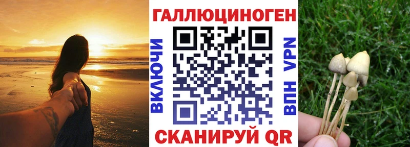 Галлюциногенные грибы мицелий  цены наркотик  Набережные Челны 